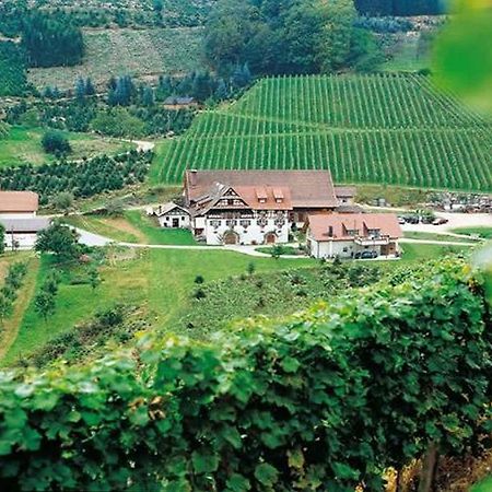 Weingut Alfred Huber Διαμέρισμα Durbach Εξωτερικό φωτογραφία
