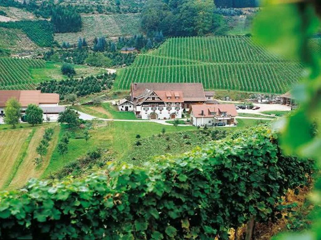 Weingut Alfred Huber Διαμέρισμα Durbach Εξωτερικό φωτογραφία