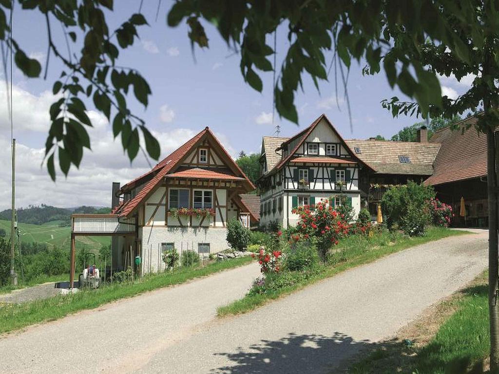 Weingut Alfred Huber Διαμέρισμα Durbach Εξωτερικό φωτογραφία