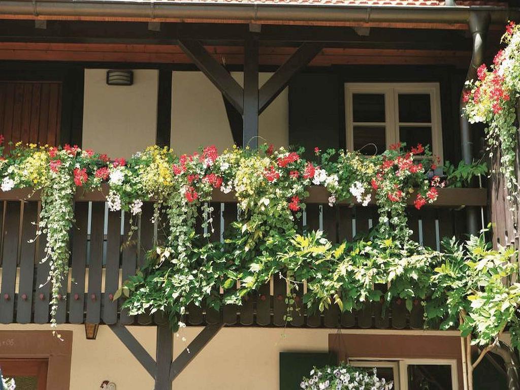Weingut Alfred Huber Διαμέρισμα Durbach Εξωτερικό φωτογραφία